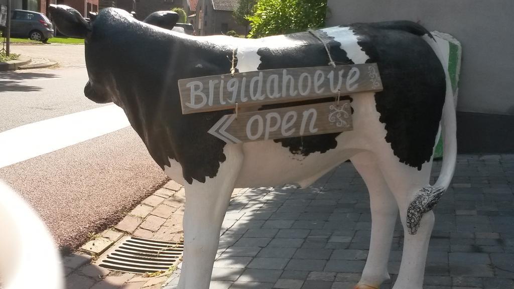 Brigidahoeve Μάαστριχτ Εξωτερικό φωτογραφία